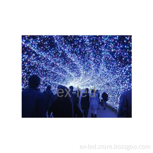 Excellent Waterproof Indoor LED Christmas decorate Festival Light